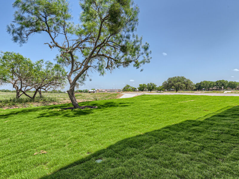 27 Back Yard